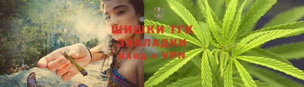 PSILOCYBIN Абдулино